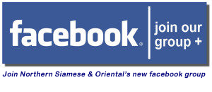 Northern Siamese Facebook Group